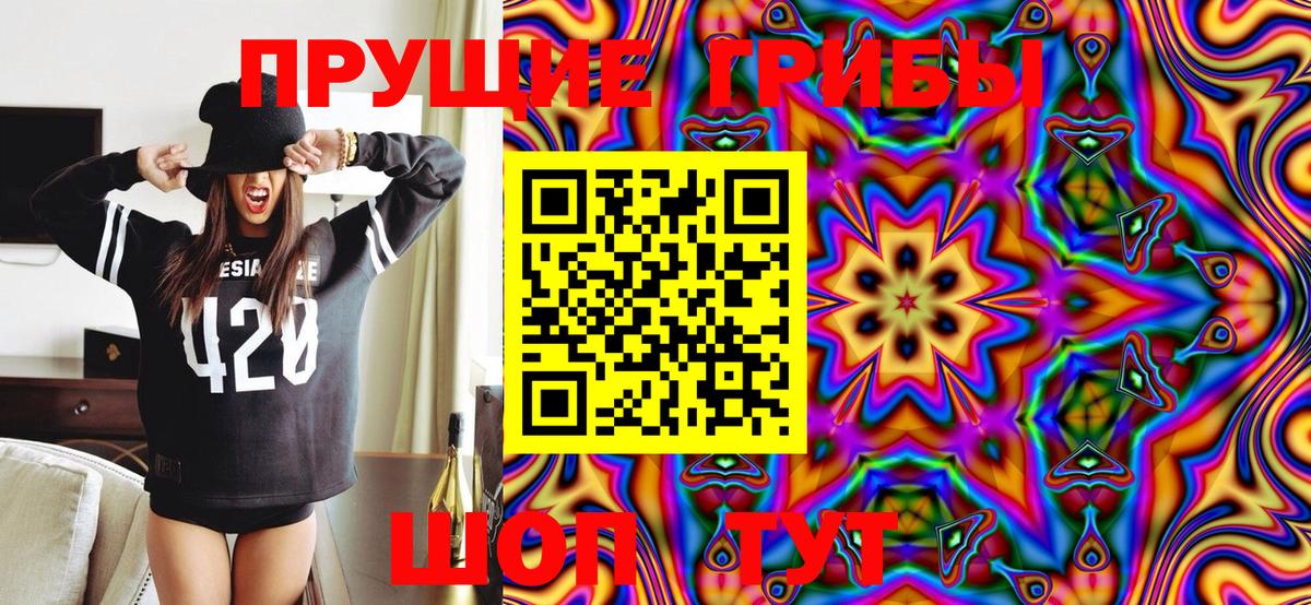 Галлюциногенные грибы Psilocybine cubensis  Вход с VPN  Белгород 